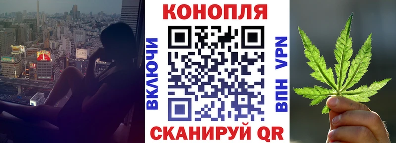Конопля сатива  Купить  Озёрск 